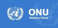 drapeaux ONU